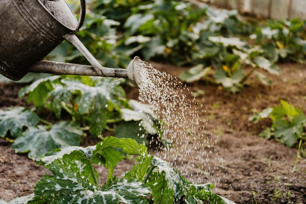 Regenton installeren en hergebruik van regenwater: Zo bespaar je écht op je waterrekening Regenton installeren en hergebruik van regenwater: Zo bespaar je écht op je waterrekening