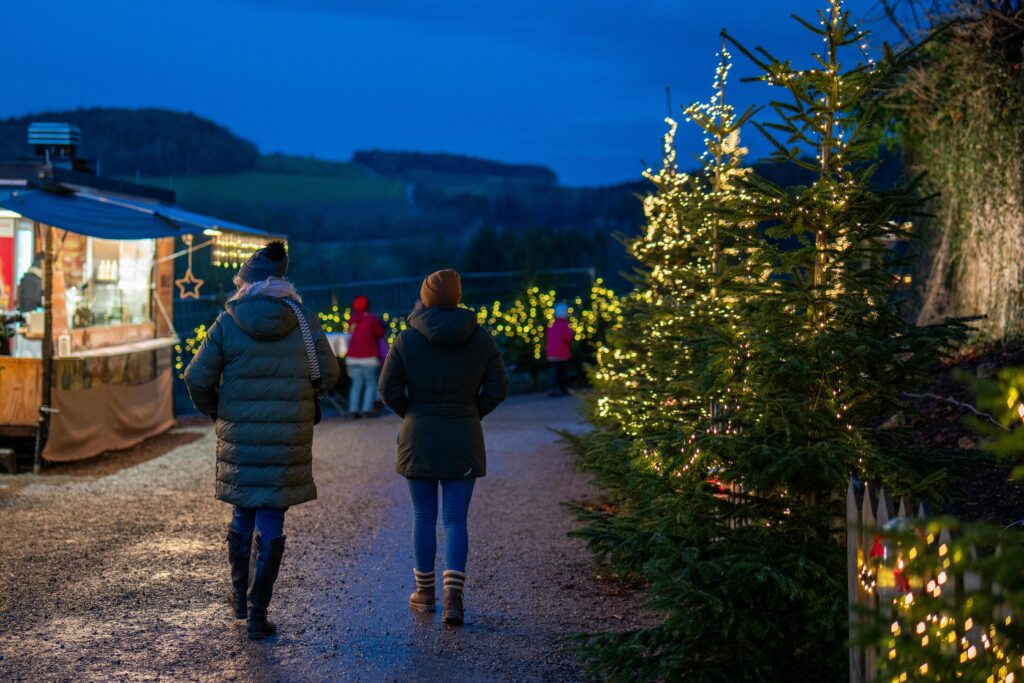 Winteruitjes op budget: Van kerstmarkten tot goedkope ski-opties Winteruitjes op budget: Van kerstmarkten tot goedkope ski-opties