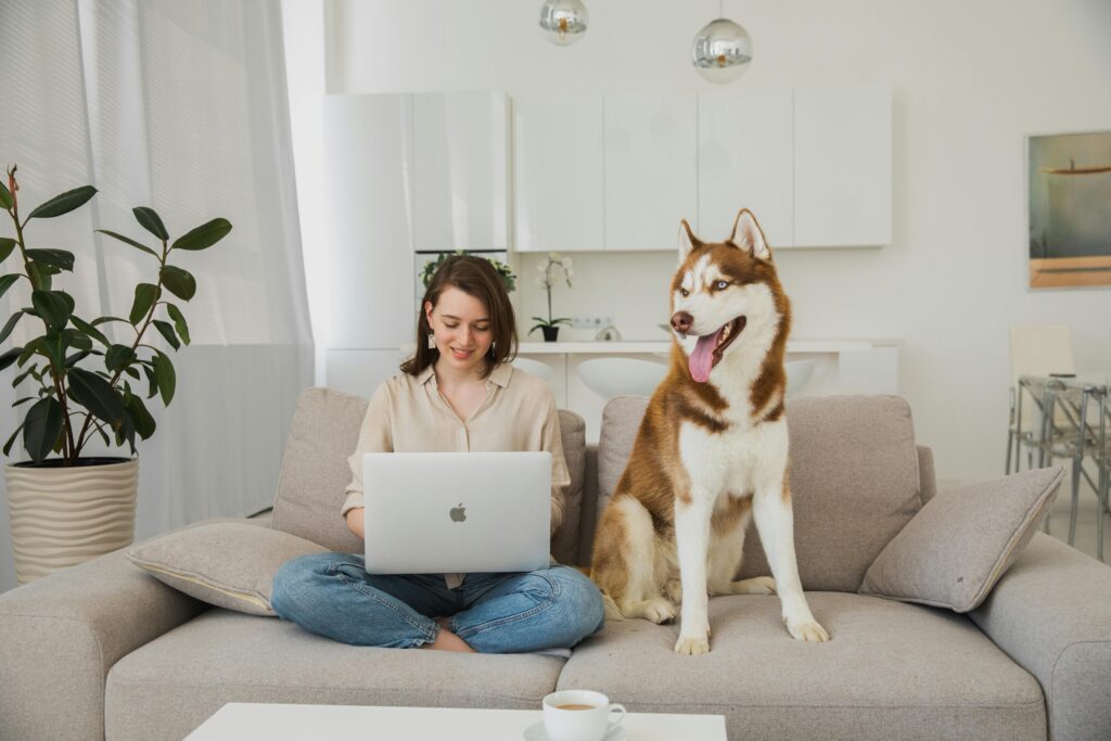 Huisdierkosten onder controle: Zo maak en beheer je een realistisch jaarbudget voor je dier